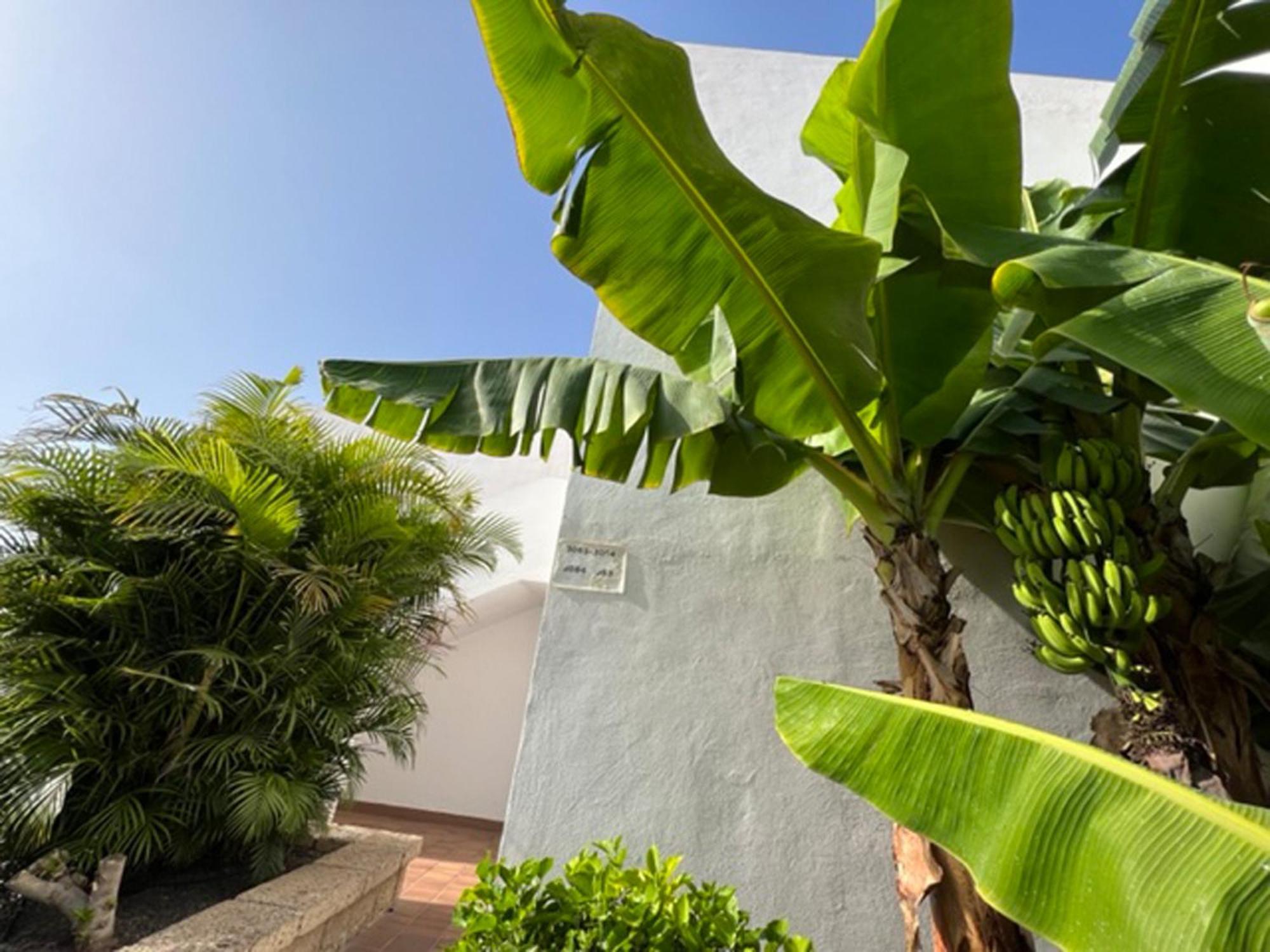 Apartament Malibu Blue Costa Adeje  Kültér fotó